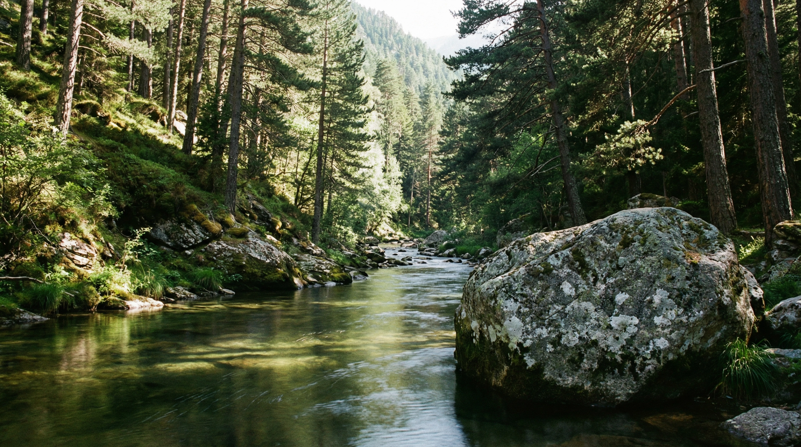 Patrimoni del municipi